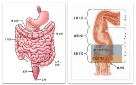 微信图片_20230512160942.jpg 微信图片_20230512160942.jpg