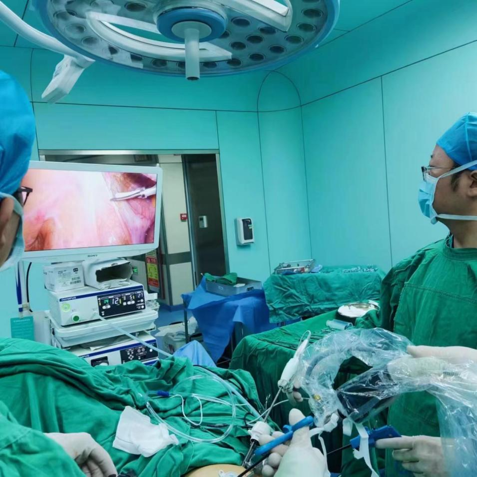 图片3.png 图片3.png