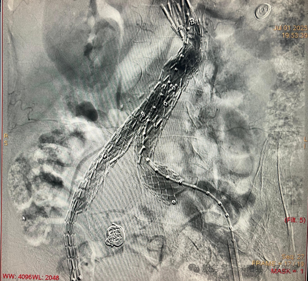 640 (6).png 640 (6).png