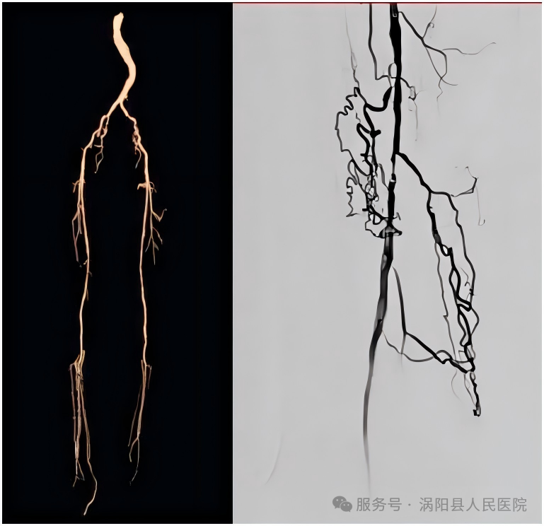 640 (6).png 640 (6).png